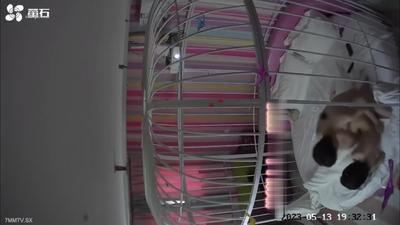 2023-May EZVIZ Cloud Hotel Xintai debuts white-collar couples to experience the feeling of having sex in a birdcage