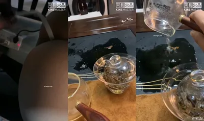 《字母圈牛逼大神極限調教☛陰環騷母狗系列》變態茶桌下母狗廢茶水灌腸上面口交